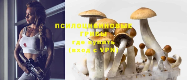 каннабис Богородицк