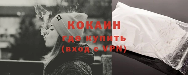 винт Богданович