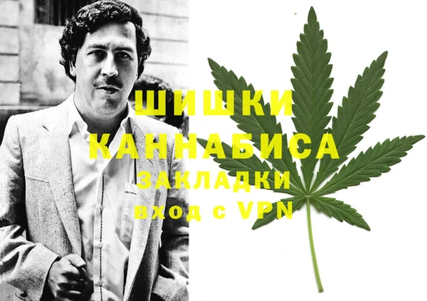 винт Богданович