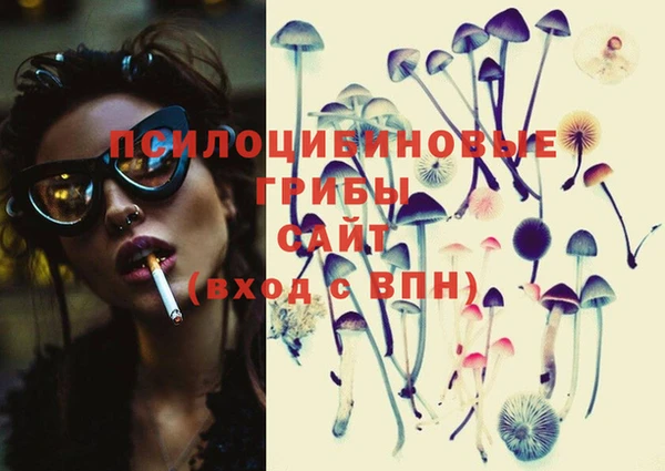 винт Богданович