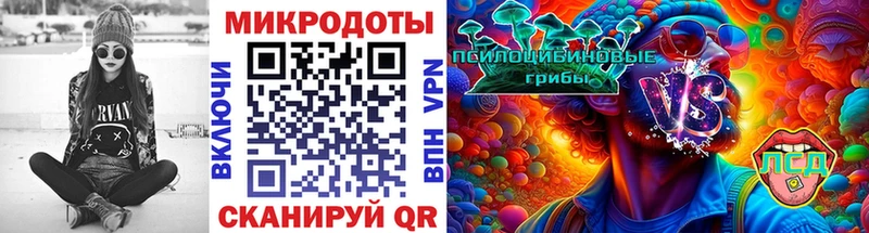 Псилоцибиновые грибы Psilocybe Стерлитамак